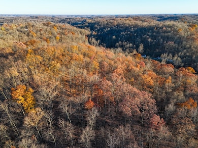 0 Williams Hollow Rd, Crown City, OH 45623 - photo 6