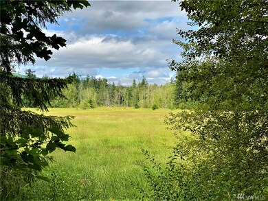 18303 Bald Hill Rd SE, Yelm, WA 98597 - photo 7