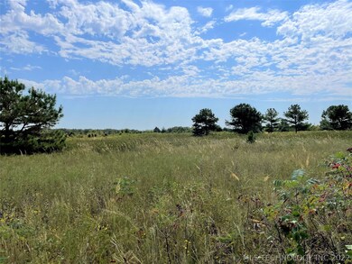 0 Mary Niblack Rd, Ardmore, OK 73401 - photo 2