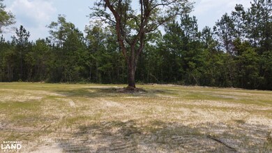 0 Steed Creek Rd unit 25684026, Huger, SC 29450 - photo 4