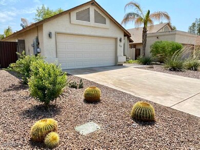 Recla cacti