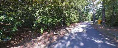 Google Earth View