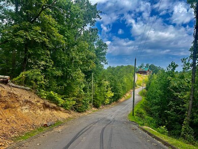 IMG_4357 (2)