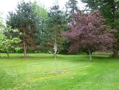 9331 184th St NW, Stanwood, WA 98292 - photo 5