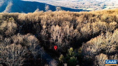 559 Laurel Springs Dr unit PRYOR CAMP II 24, Roseland, VA 22967 - photo 5