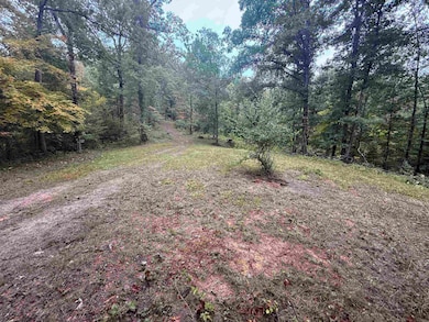 15709 Trace Rd, Rush, KY 41168 - photo 2