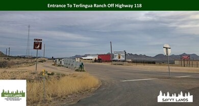 00000 Willow Canyon Rd, Alpine, TX 79830 - photo 5