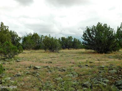 Lot No. 59 Sequoia Pl. Show Low, Az