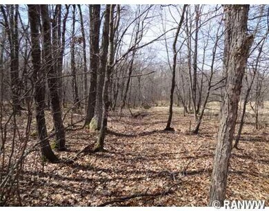 Land. Tree line towards property