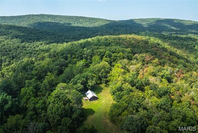 Drone / aerial view of mountains