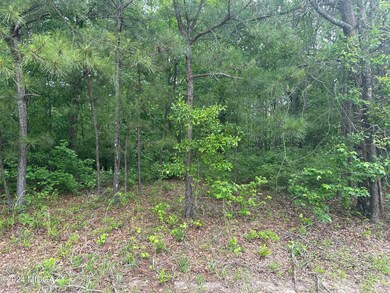 0 Griswoldville Shortcut unit 174880, Macon, GA 31211 - photo 2