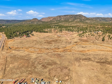 Lot 25 the Ranch at Alpine -- unit 25, Alpine, AZ 85920 - photo 7