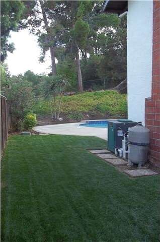 Side and private back yard with new sod and pool v