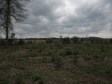 0 White Oak Ln unit 62138, Hudson, TX 75904 - photo 4