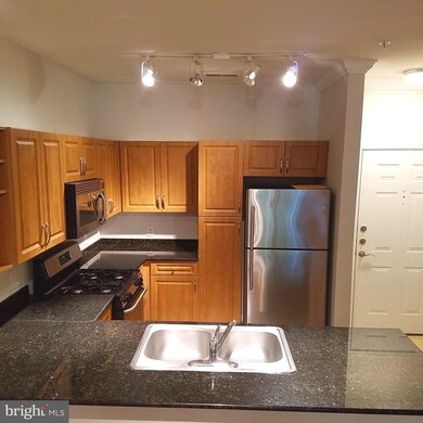 12909 Centre Park Cir unit 101, Oak Hill, VA 20171 - photo 5