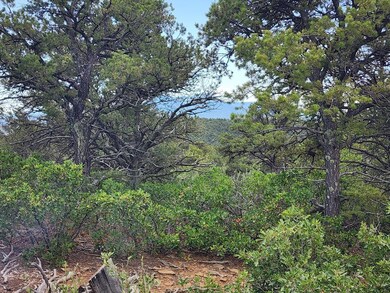 LotC4 Highview Cir, Trinidad, CO 81082 - photo 4