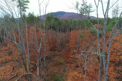 000 Old Portland Rd unit 10, Freedom, NH 03836 - photo 7