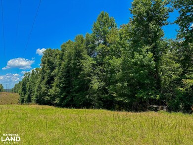 0 Oakley Rd unit 24338612, Hybart, AL 36452 - photo 6