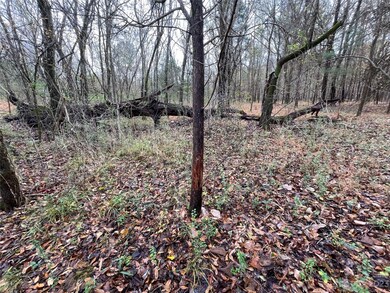 2234 Corinth Rd, Gaffney, SC 29340 - photo 6