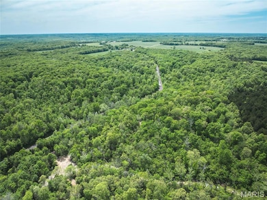 0 Lot H Armadillo Ln unit MIS25030851, Sullivan, MO 63080 - photo 3