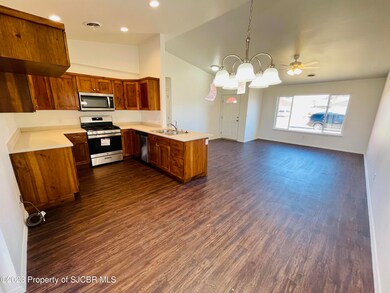 313 Valle Bonita Dr, Farmington, NM 87401 - photo 7