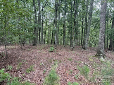 1187 Grandview Peaks Dr unit 187, Nebo, NC 28761 - photo 7