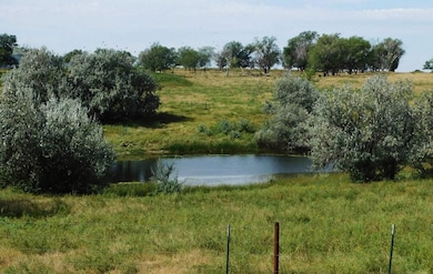 20881 New Underwood Rd, New Underwood, SD 57761 - photo 7