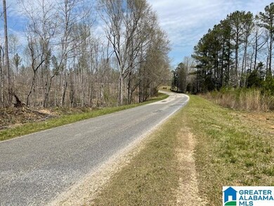 0 County Road 30 unit 4 Acres 1315566, Roanoke, AL 36274 - photo 3