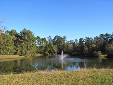 28919 Pine Forest Dr, Magnolia, TX 77355 - photo 4