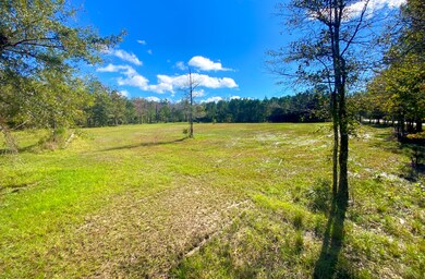 1 Woodville Rd, Mount Pleasant, SC 29429 - photo 2