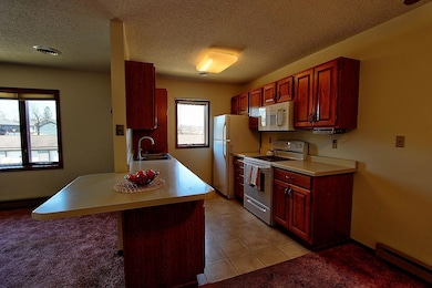 222 Sargent Dr unit 202, Red Wing, MN 55066 - photo 7