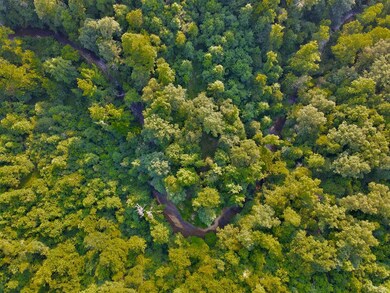 76 AC. Masters Rd, Cookeville, TN 38506 - photo 7