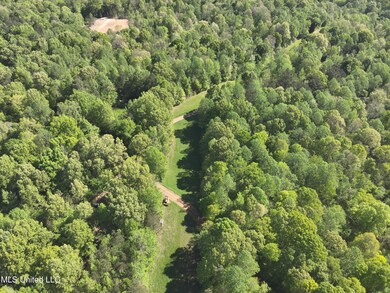 DJI_20250411100241_0004_V