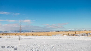 View from Back Porch.
