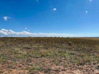TBD Lot 1 C R 116, Hesperus, CO 81326 - photo 3