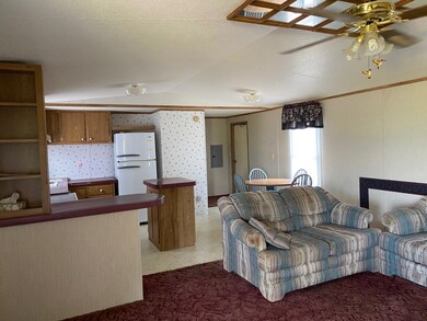 133 Joe Rd, Dublin, TX 76446 - photo 6