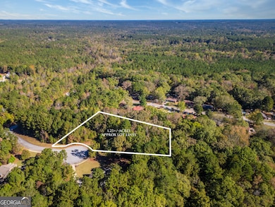 120 Hidden Falls Ct, Rutledge, GA 30663 - photo 3