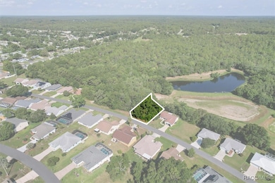 905 W Colbert Ct, Beverly Hills, FL 34465 - photo 3