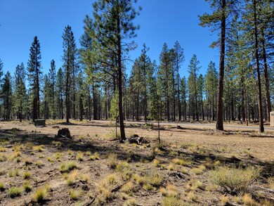 Lot 360 Outlook