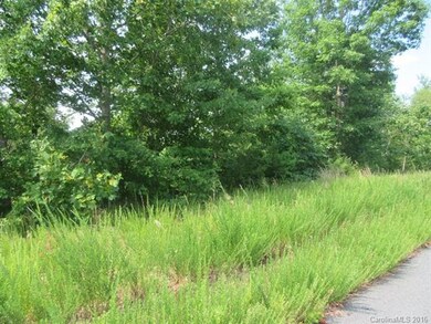 Lot  47 Hickory Loop, Rutherfordton, NC 28139 - photo 4