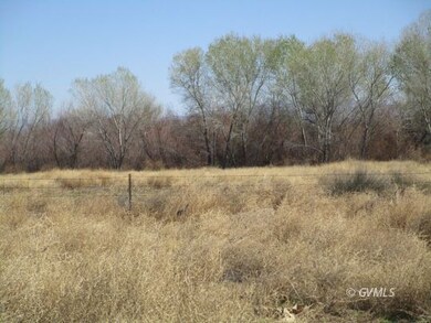 Back Pasture