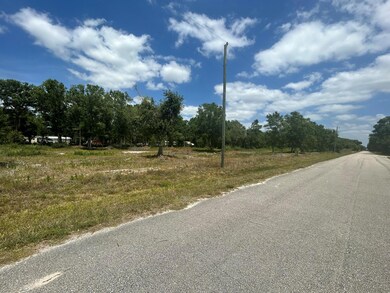 unlisted-address, Okeechobee, FL 34972 - photo 3