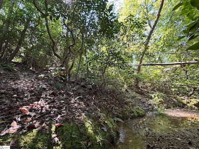 00 Whitewater Lake Rd, Tamassee, SC 29686 - photo 3