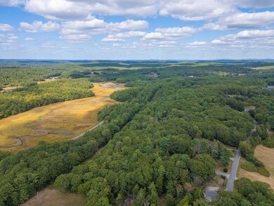 Late morning looking North