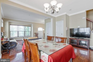 23114 Basswood Hill Dr, Clarksburg, MD 20871 - photo 5