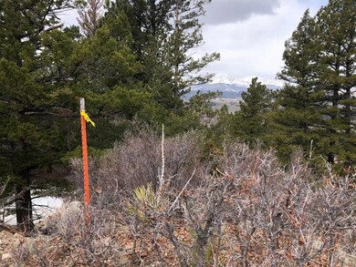 127 Flavin Ln unit 127, Fort Garland, CO 8113 - photo 7