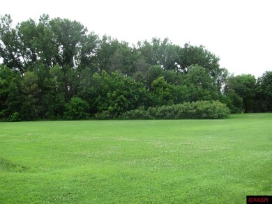 S Third St unit TBD Third St S, Butterfield, MN 56120 - photo 4