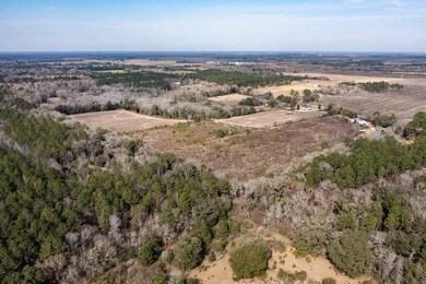 13669 Georgia 93, Baconton, GA 31716 - photo 4