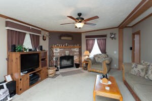 Living Room with Fireplace