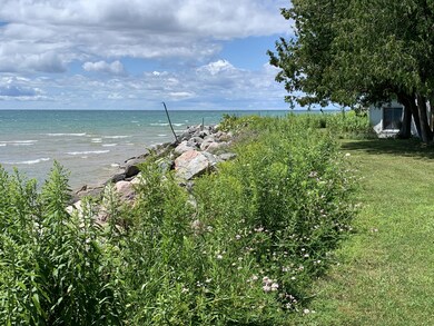 Shoreline
